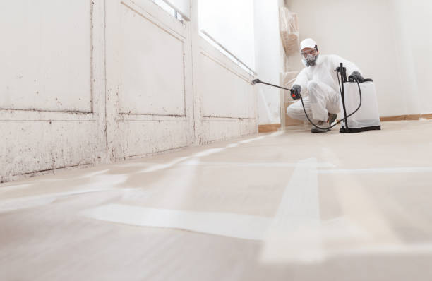 24/7 Emergency Mold Cleanup experts in Demarest, NJ